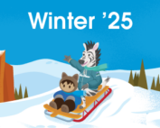 Salesforce Winter 25 Release notes illustration