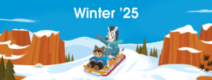 Salesforce Winter 25 Release notes illustration